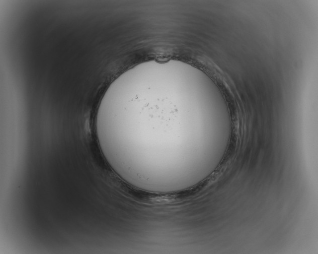 X0000102860516200808181028