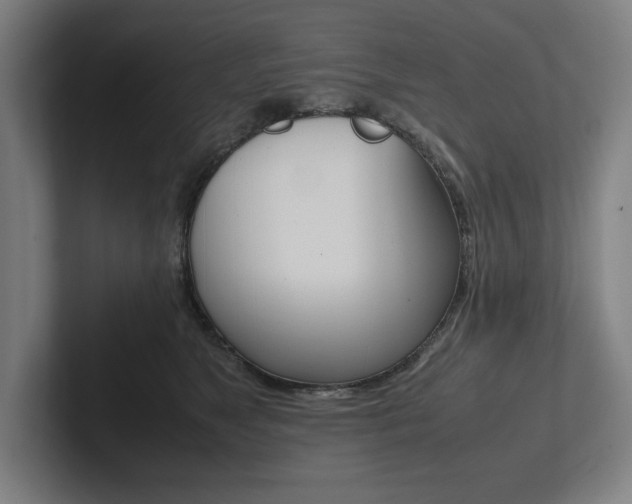 X0000102860517200808181028