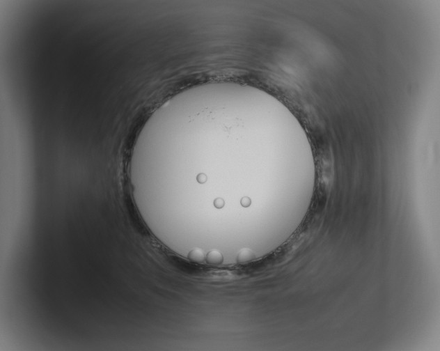 X0000102860519200808181028