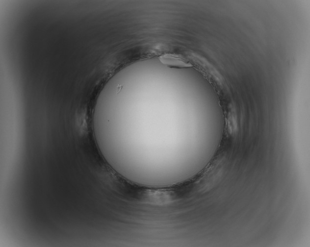 X0000102860520200808181028