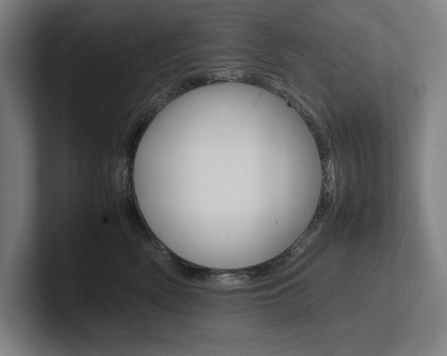 X0000102860522200808181028