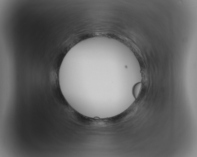 X0000102860523200808181028