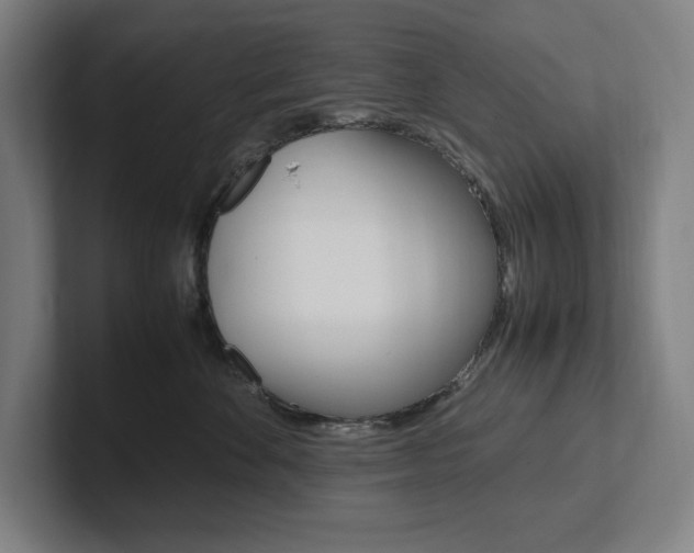 X0000102860524200808181028