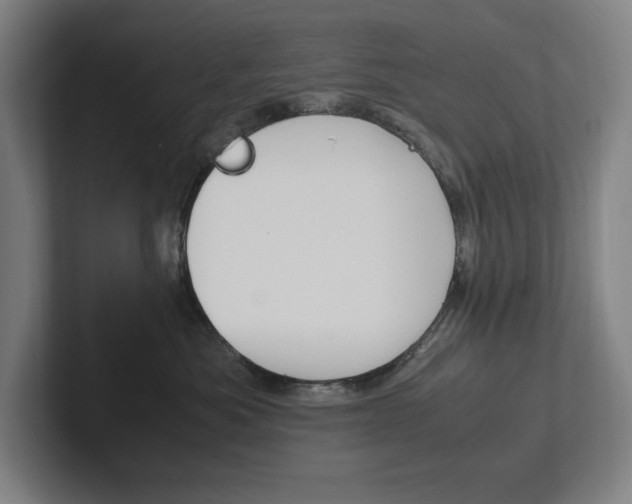 X0000102860525200808181028