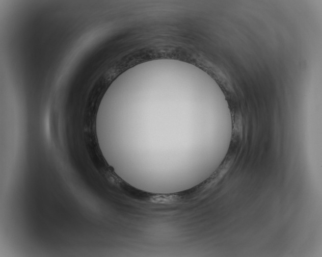 X0000102860526200808181028