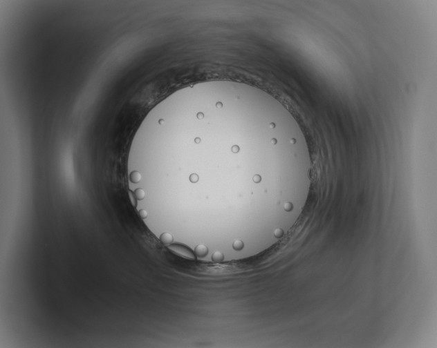 X0000102860527200808181028