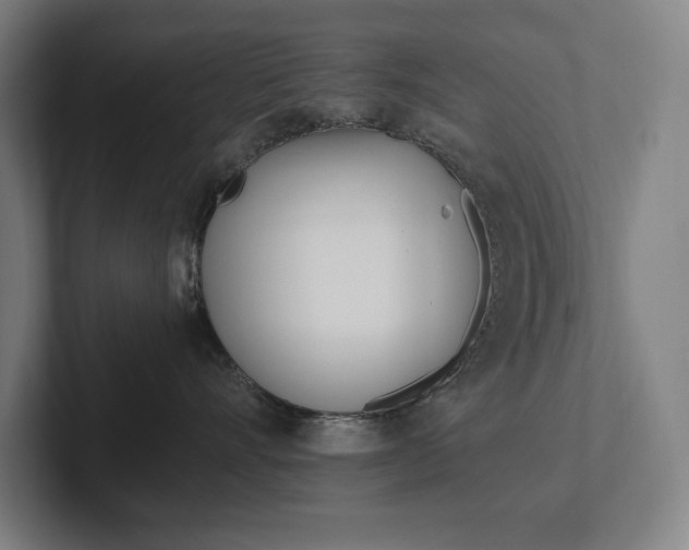 X0000102860528200808181028