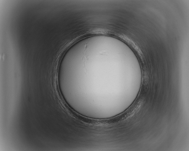 X0000102860529200808181027
