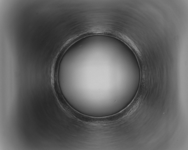X0000102860530200808181027