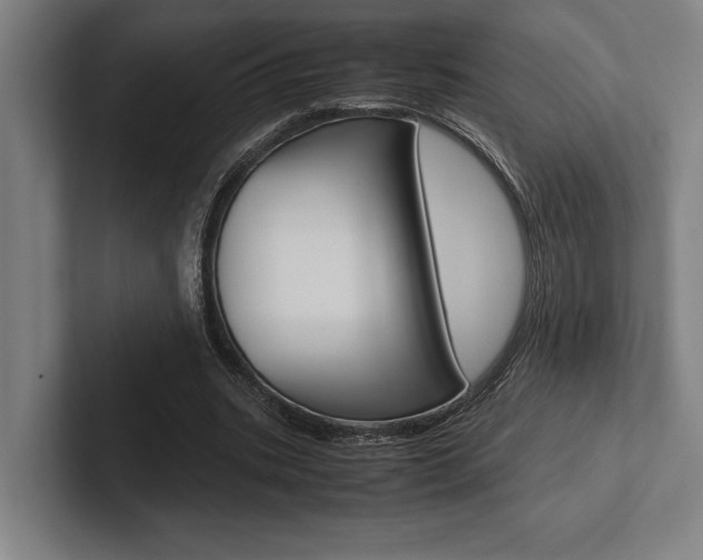 X0000102860535200808181027