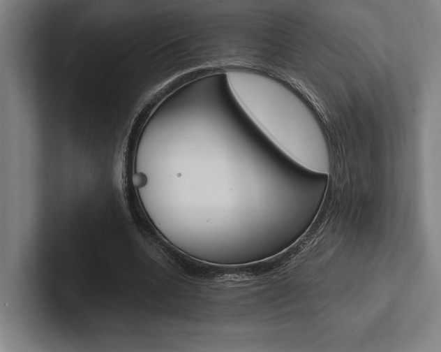 X0000102860536200808181027