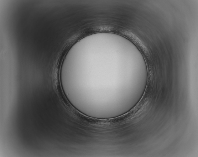 X0000102860537200808181027