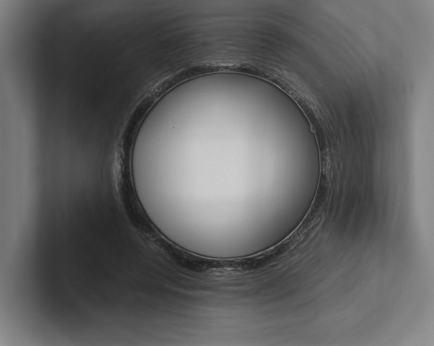 X0000102860544200808181027