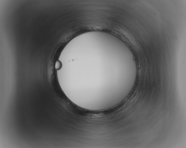 X0000102860548200808181027