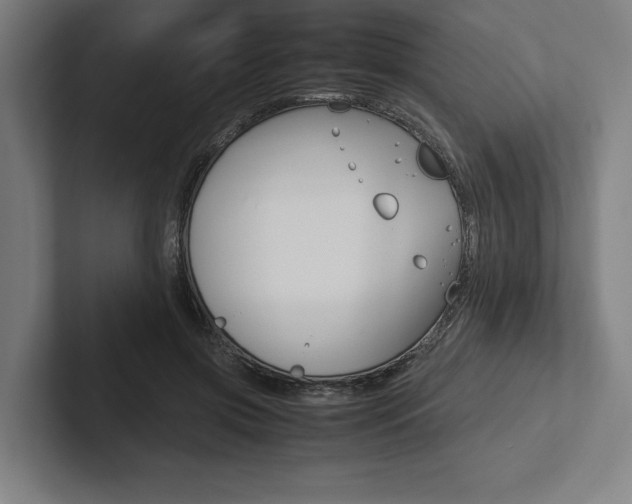 X0000102860549200808181027