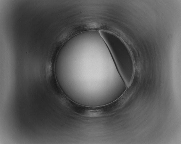 X0000102860556200808181027