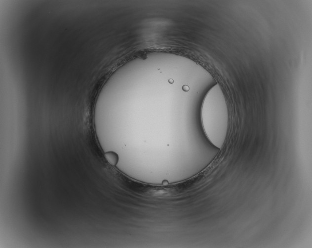 X0000102860557200808181027