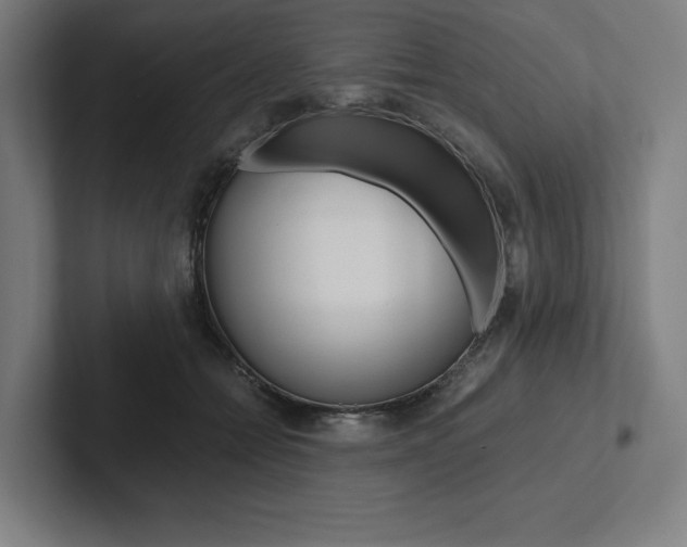X0000102860558200808181027