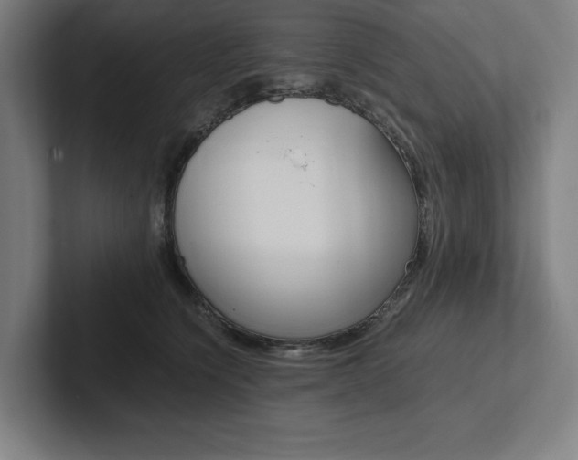 X0000102860564200808181028