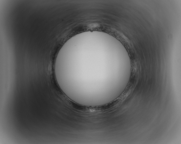 X0000102860565200808181028