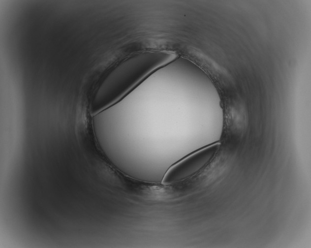 X0000102860566200808181028