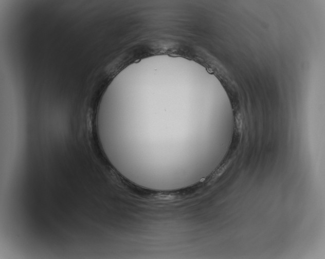 X0000102860570200808181028