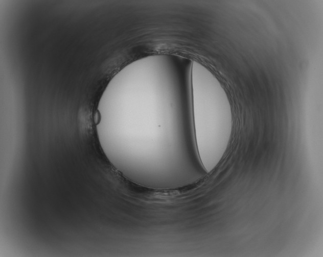 X0000102860571200808181028