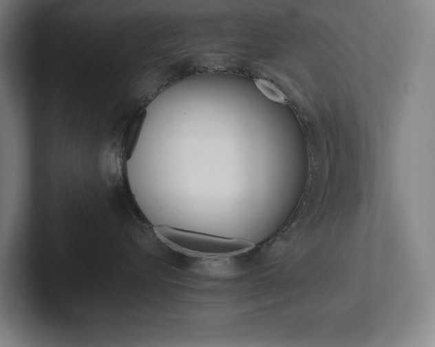 X0000102860576200808181028