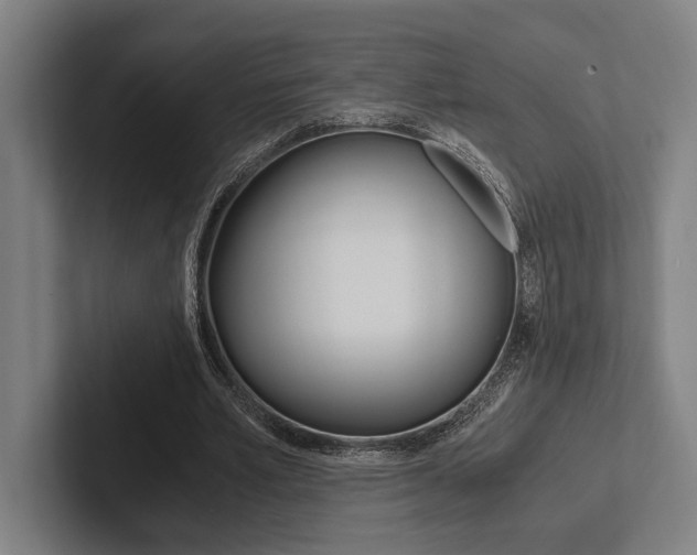 X0000102860581200808181027