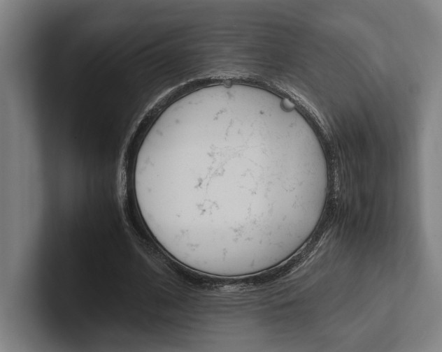 X0000102860584200808181027