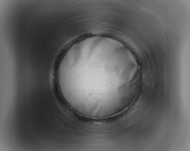 X0000102860592200808181027
