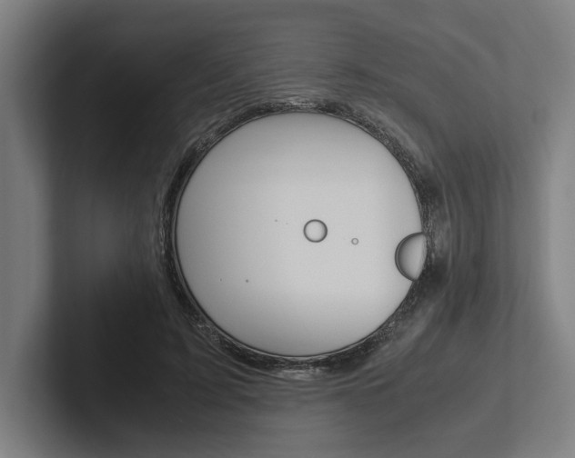 X0000102860595200808181027
