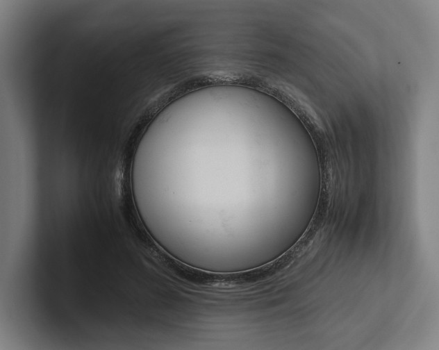 X0000102860596200808181027