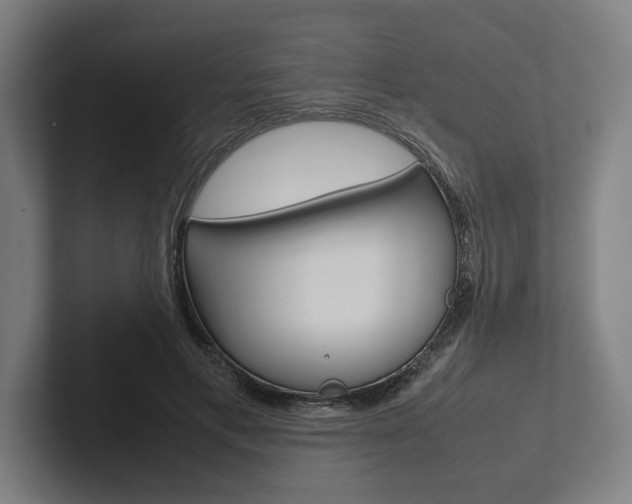 X0000102860597200808181027