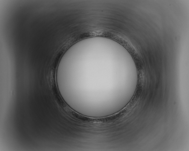X0000102860598200808181027