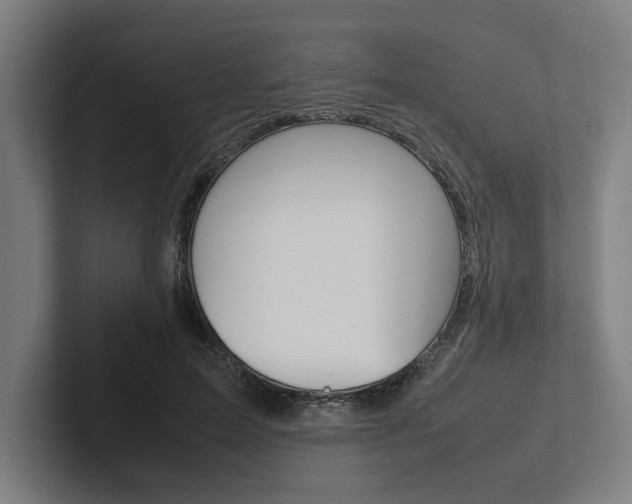 X0000102860599200808181027