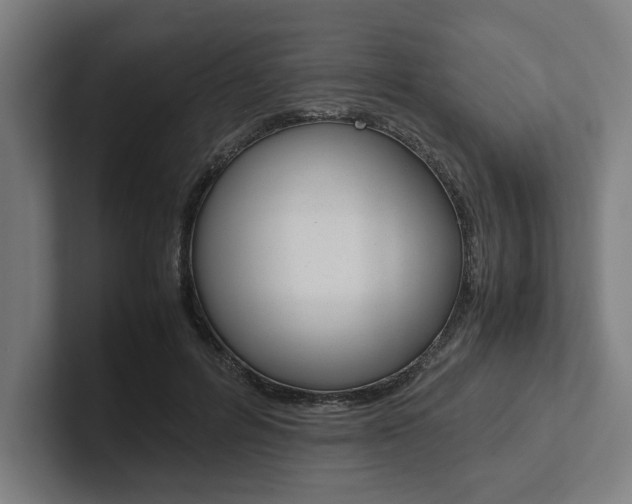 X0000102860600200808181027
