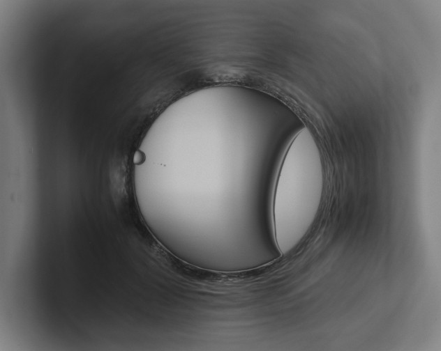 X0000102860604200808181027
