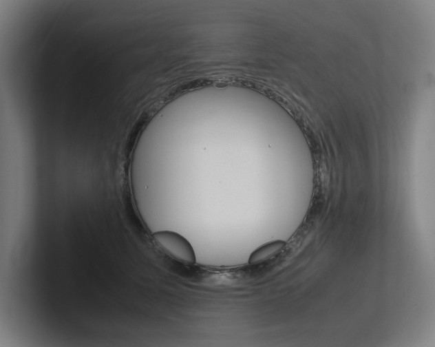 X0000102860611200808181027