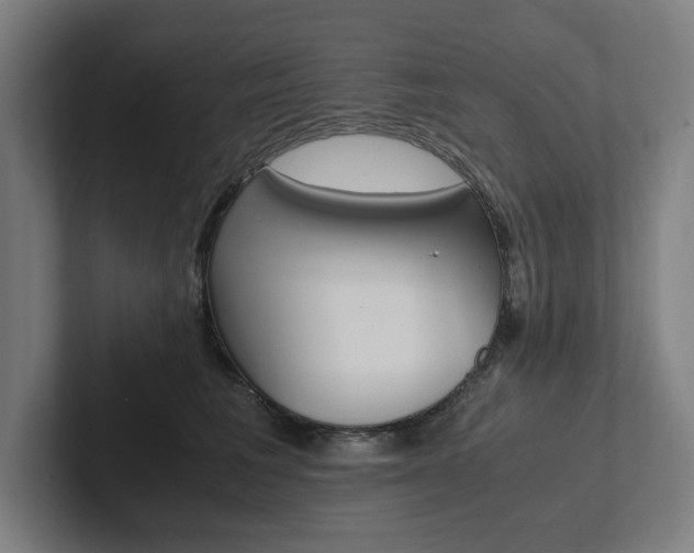 X0000102860613200808181027