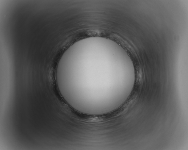 X0000102860616200808181027