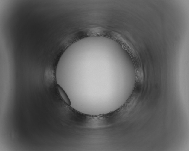 X0000102860621200808181027