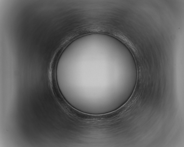 X0000102860626200808181026