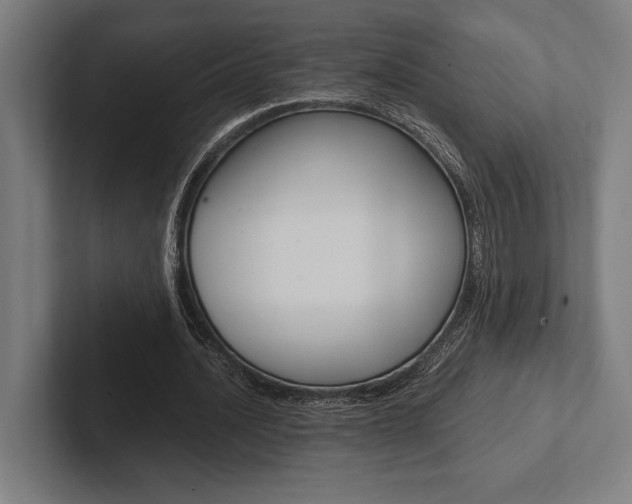 X0000102860628200808181026