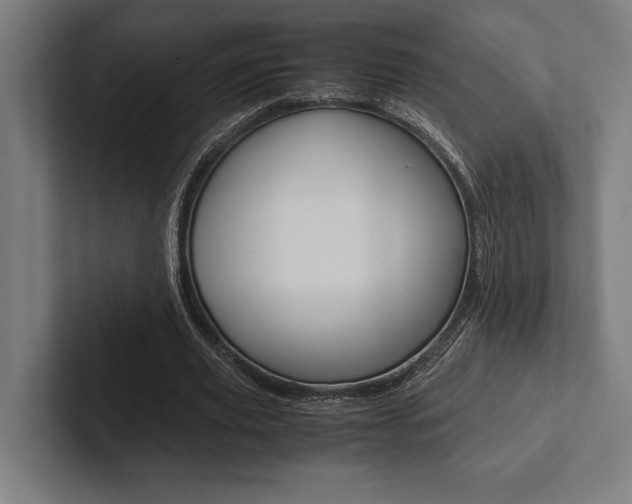 X0000102860629200808181026