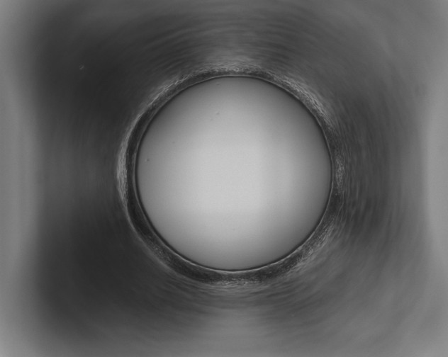 X0000102860630200808181026