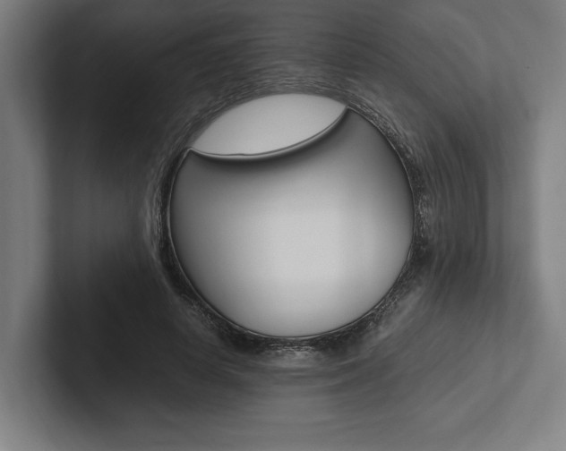 X0000102860642200808181026