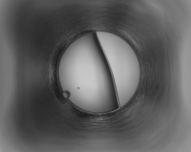 X0000102860643200808181026