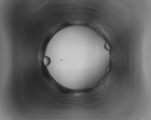 X0000102860645200808181026