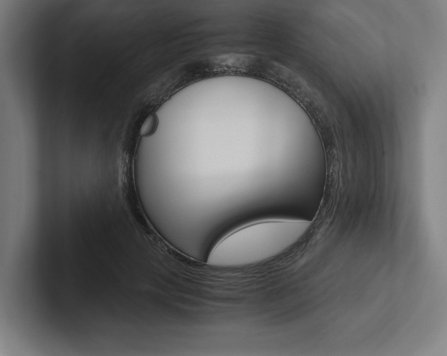 X0000102860649200808181026